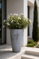 Preview: Pot Haut Gris en Terre Cuite d’Impruneta - Calice
